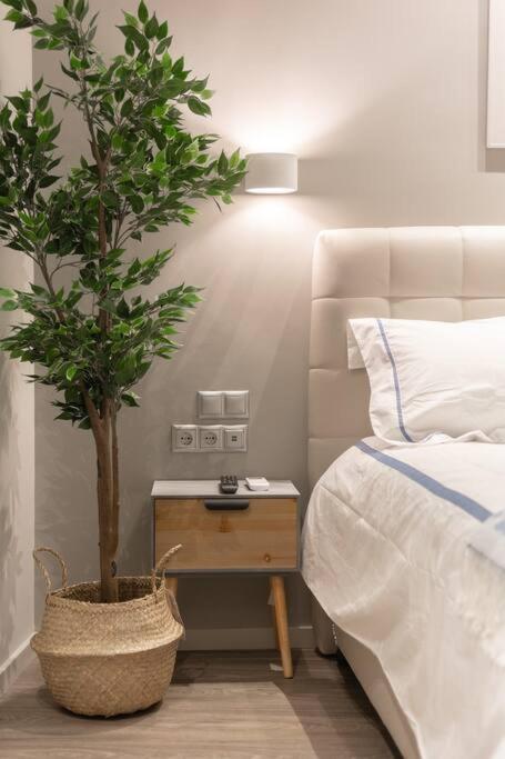 A11 Pristine & Comfy Studio Near Plaka & Parthenon Αθήνα Εξωτερικό φωτογραφία